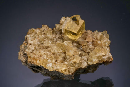 CC47634 specimen image