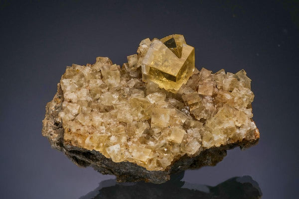 CC47634 specimen image
