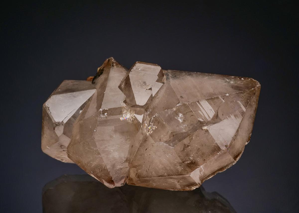CC47654 specimen image