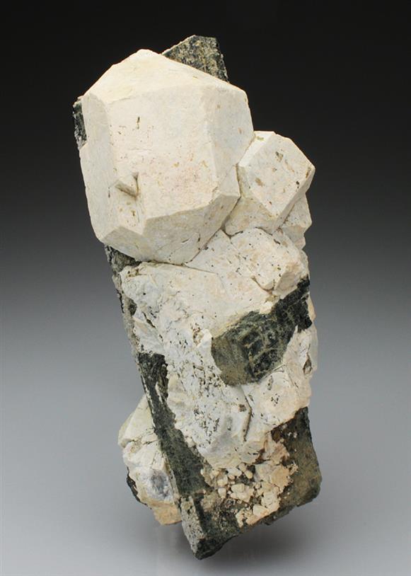 CC4766 specimen image