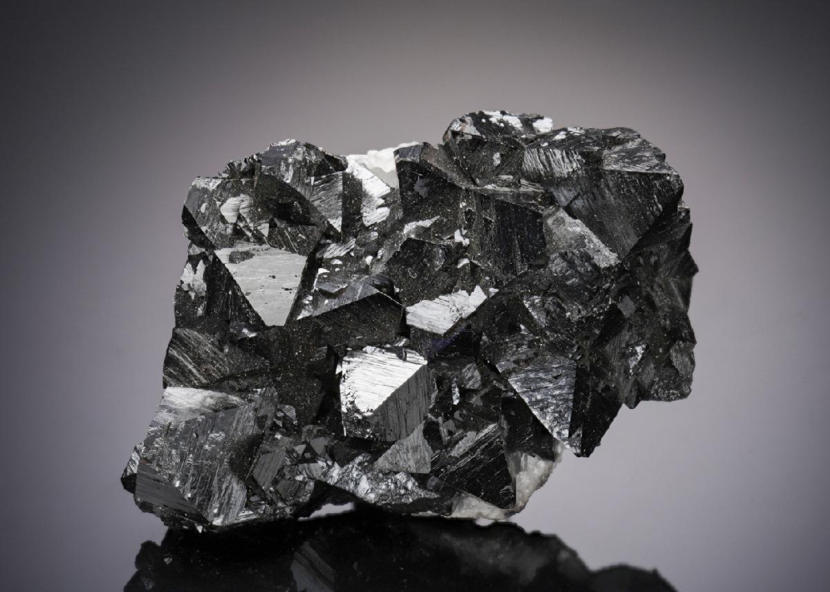 CC4769 specimen image