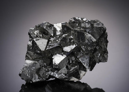 CC4769 specimen image