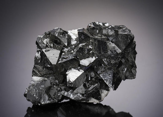 CC4769 specimen image