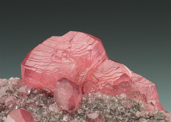CC4772 specimen image