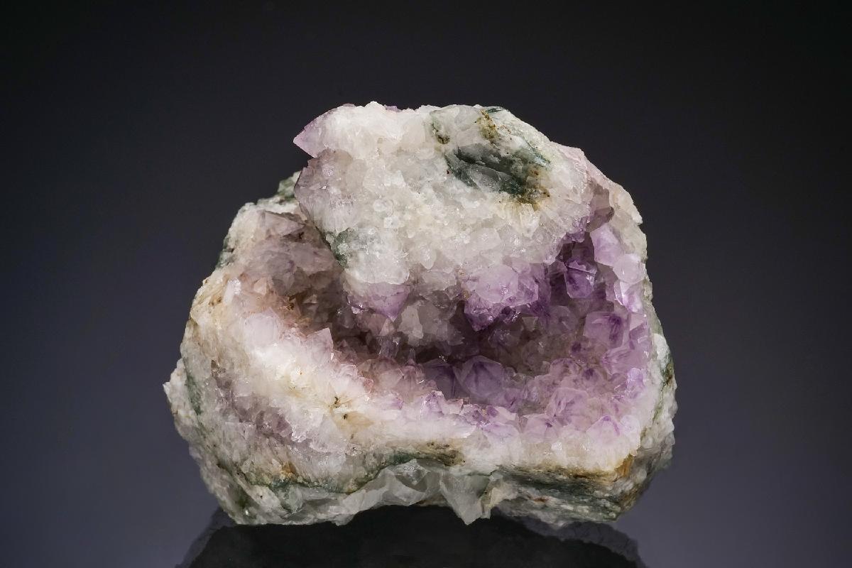 CC47722 specimen image