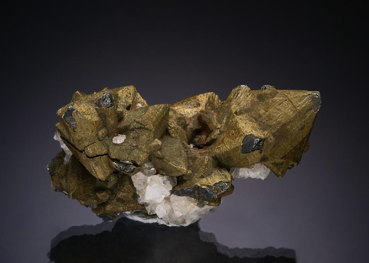 CC47726 specimen image