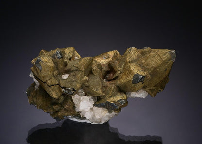 CC47726 specimen image
