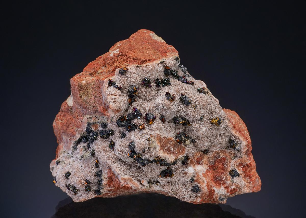 CC47732 specimen image