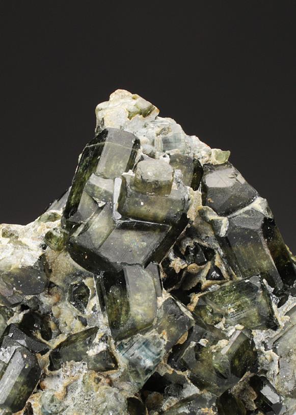 CC4783 specimen image