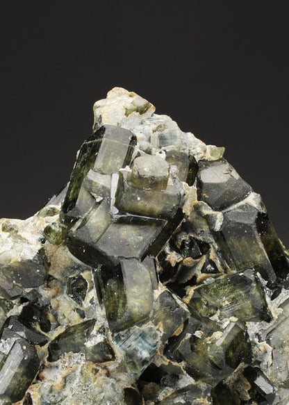 CC4783 specimen image