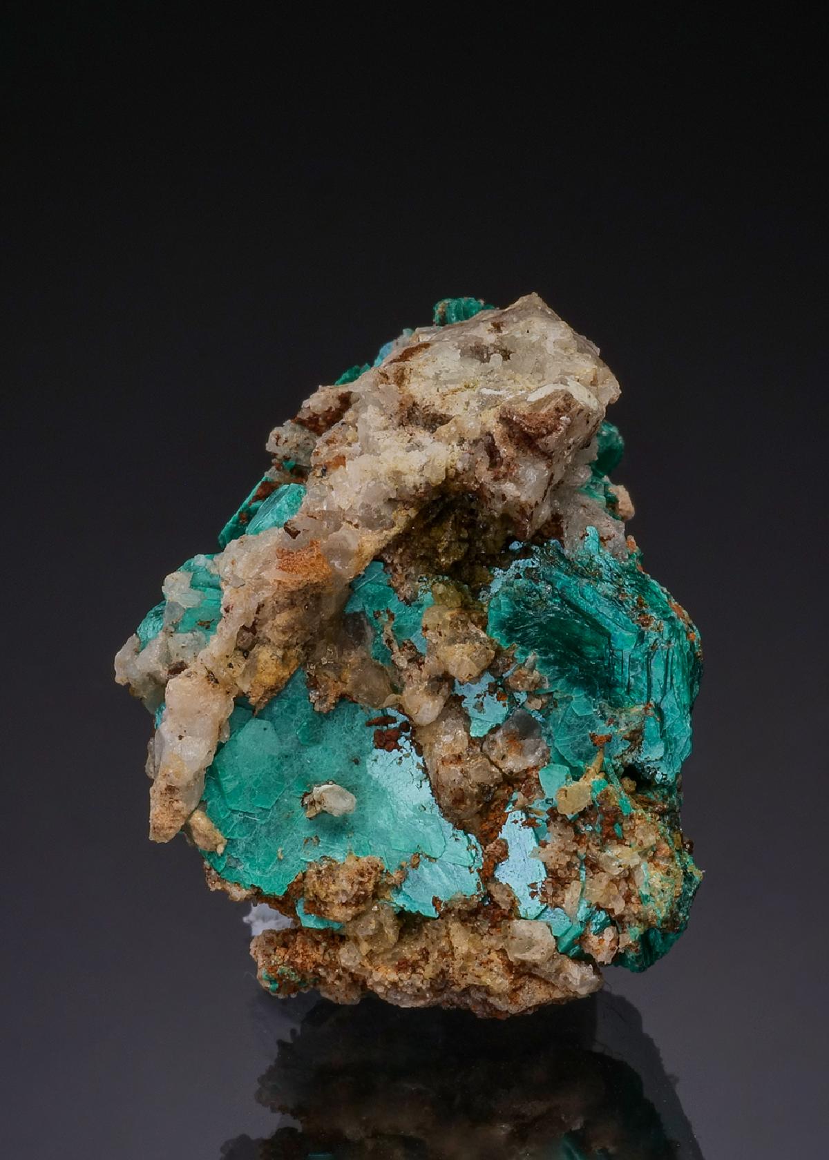 CC47846 specimen image