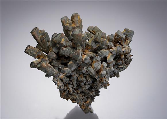 CC4786 specimen image
