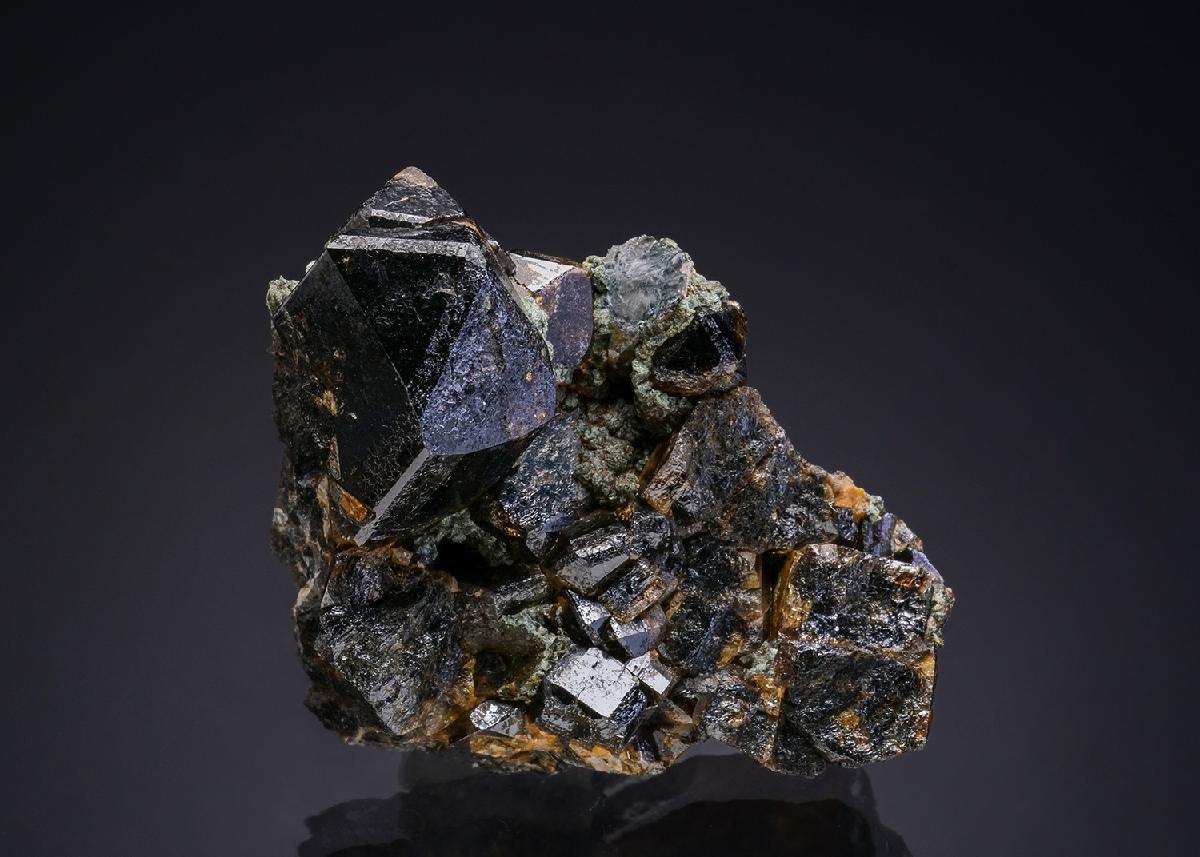 CC47880 specimen image