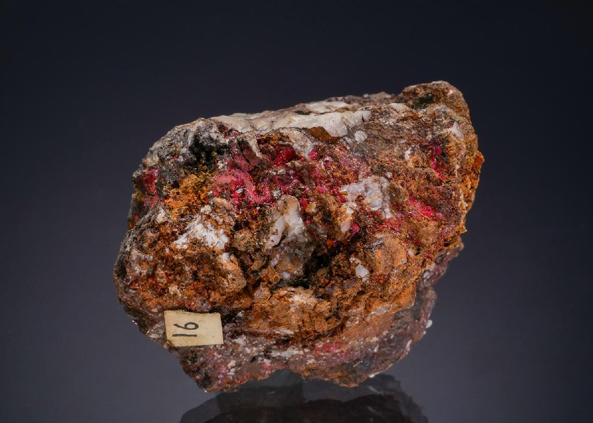 CC47882 specimen image