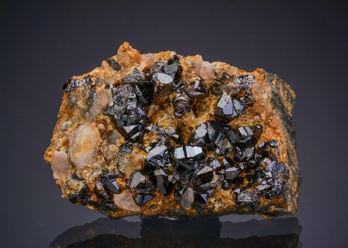 CC47914 specimen image