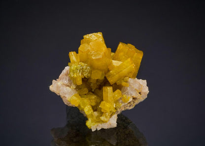 CC47946 specimen image