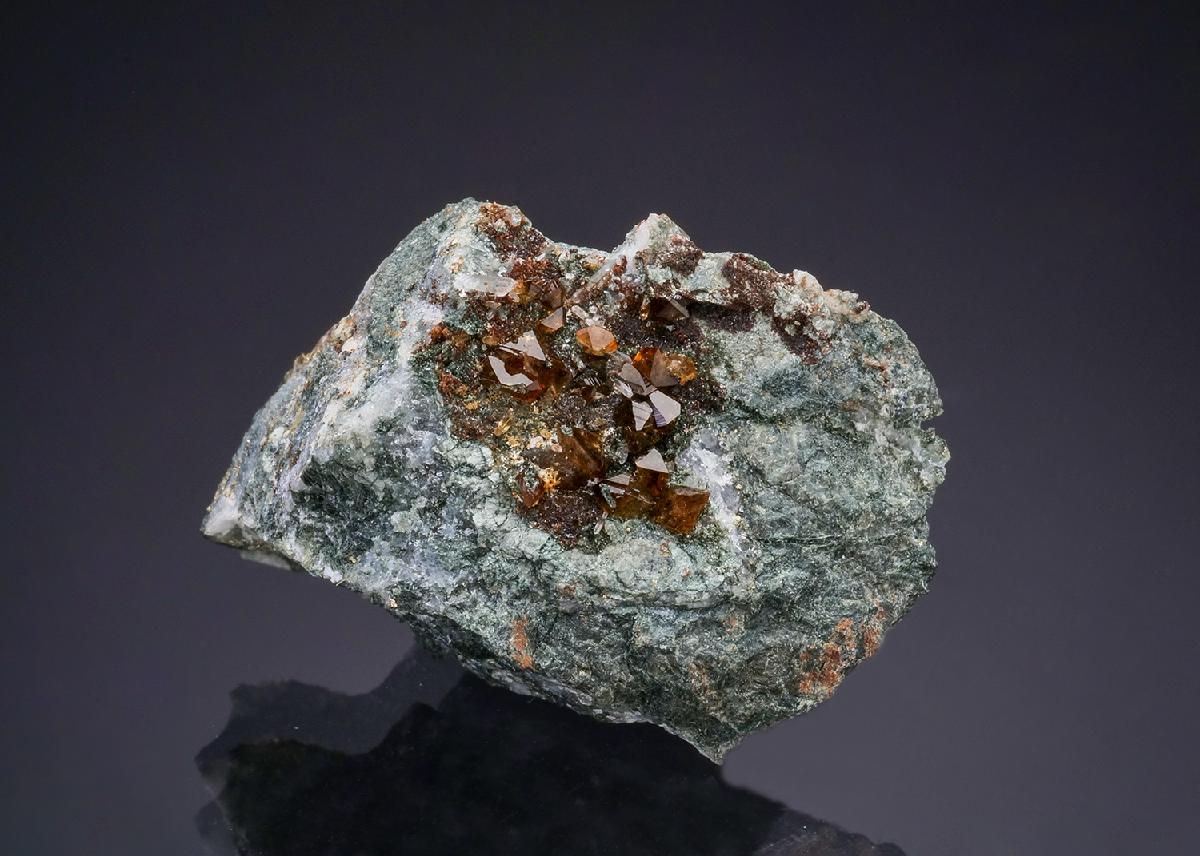 CC47948 specimen image