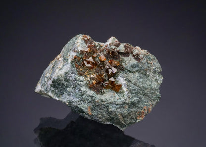 CC47948 specimen image