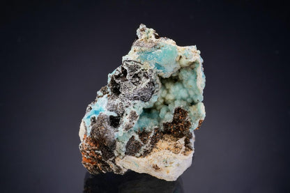 CC47956 specimen image