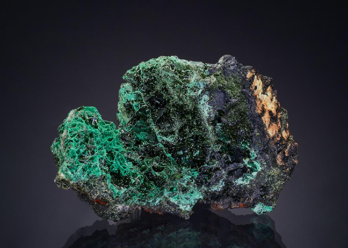 CC47958 specimen image