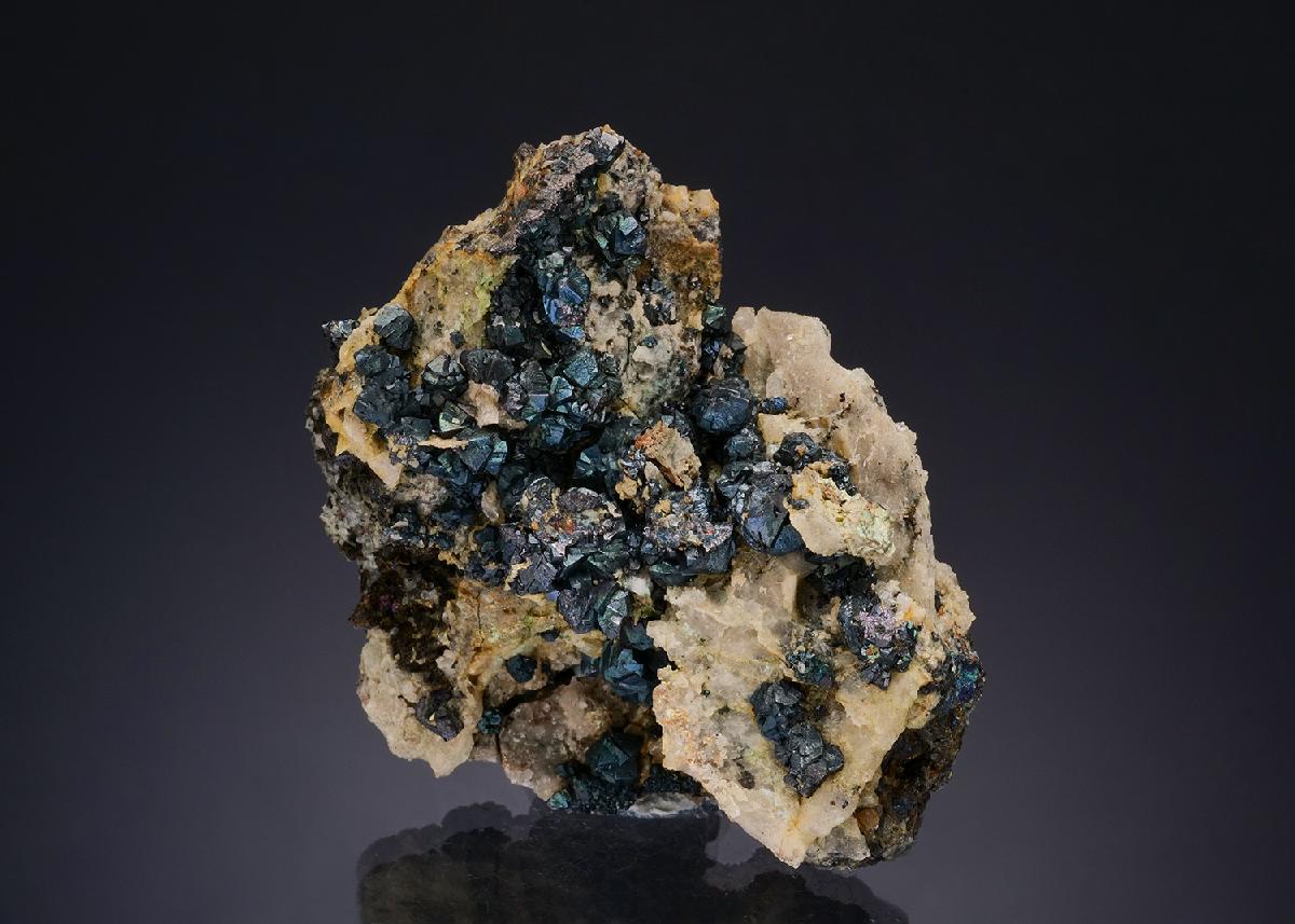 CC47996 specimen image
