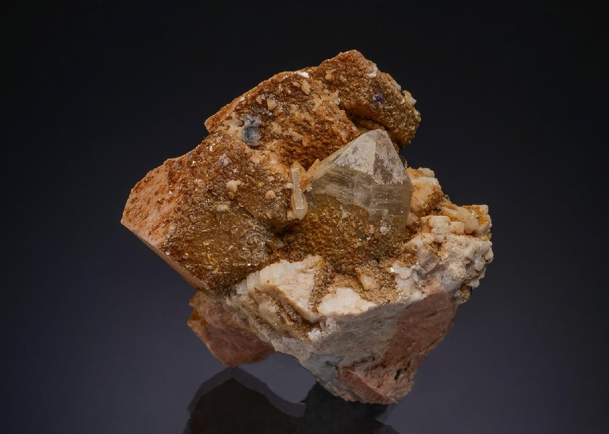 CC47998 specimen image