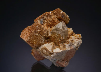 CC47998 specimen image