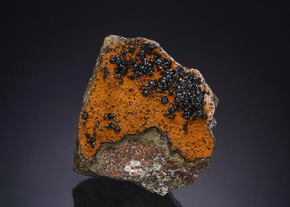 CC48008 specimen image