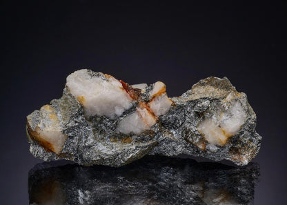 CC48010 specimen image