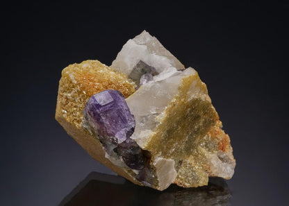CC48012 specimen image