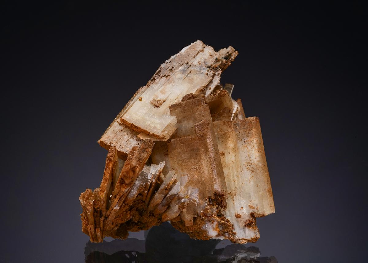CC48022 specimen image