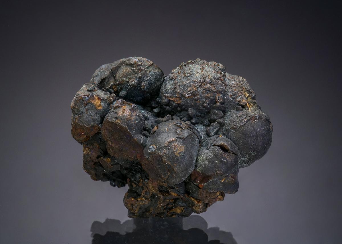 CC48072 specimen image