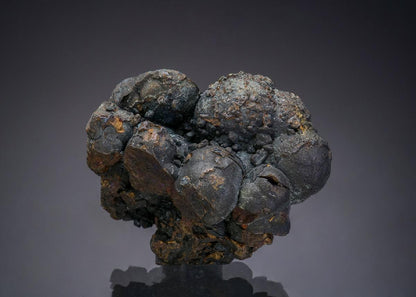 CC48072 specimen image