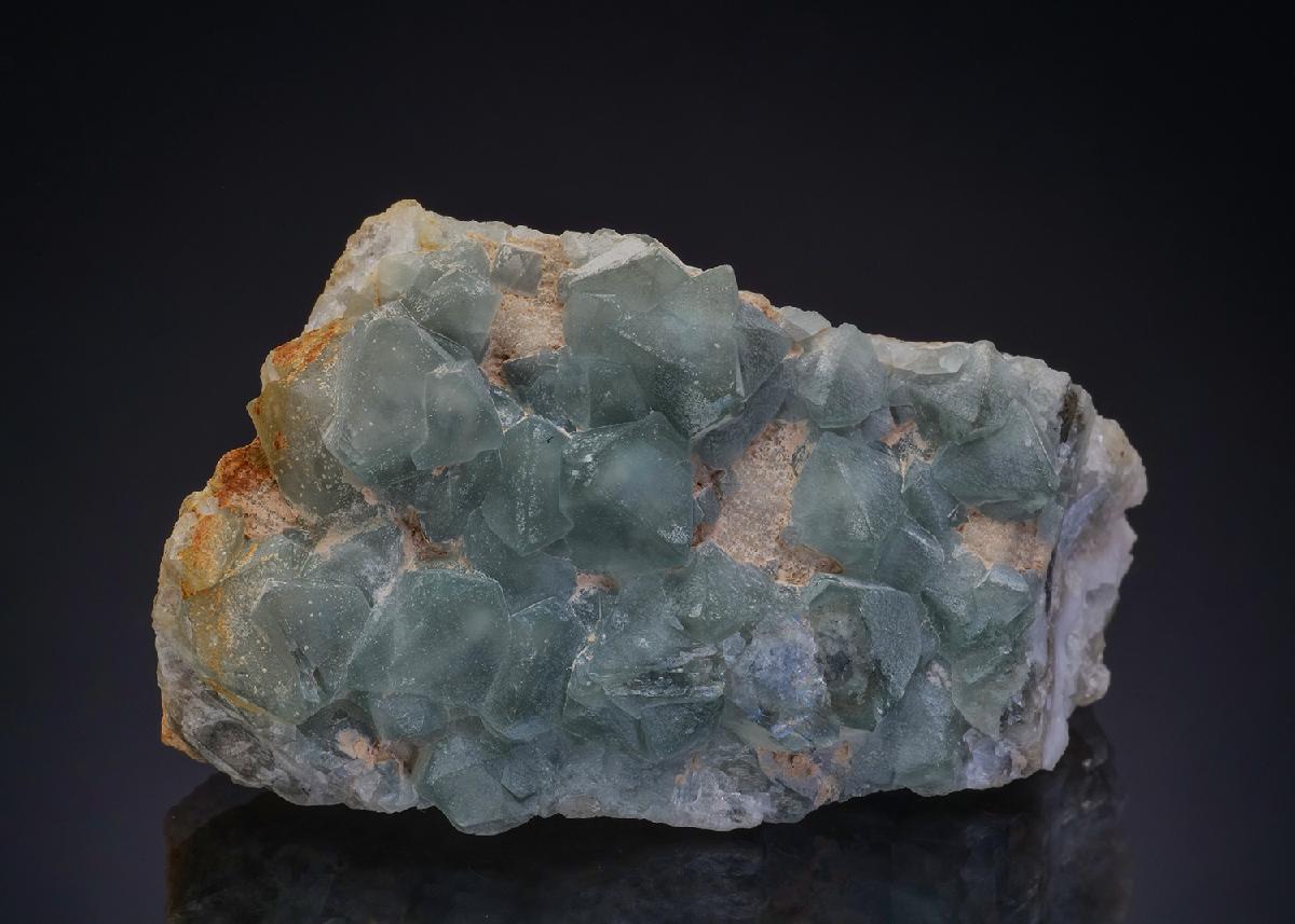 CC48074 specimen image