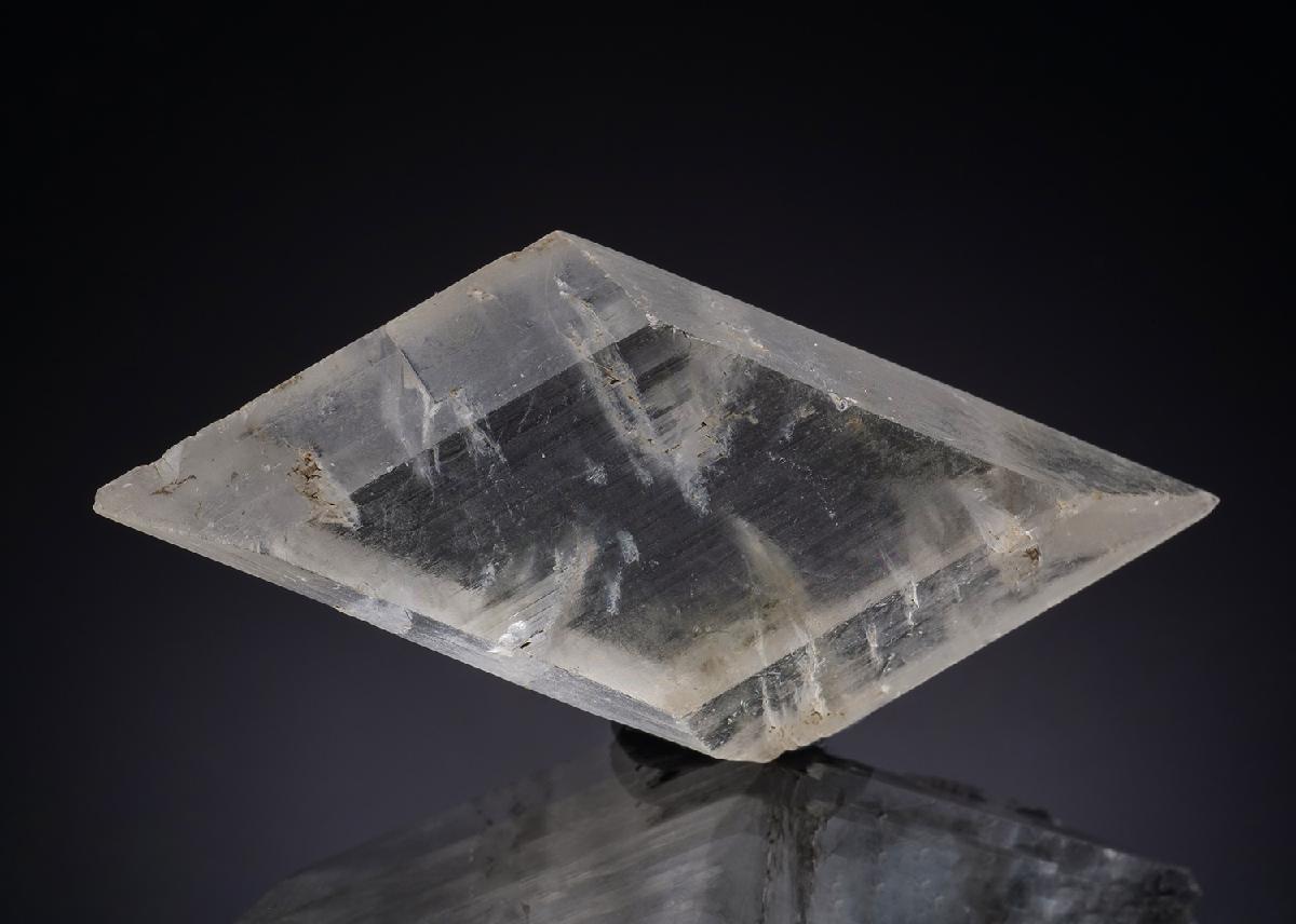 CC48148 specimen image