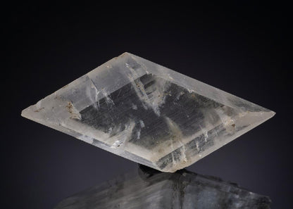 CC48148 specimen image