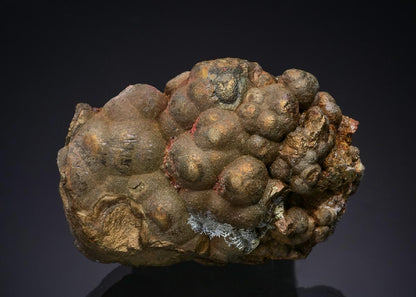 CC48160 specimen image