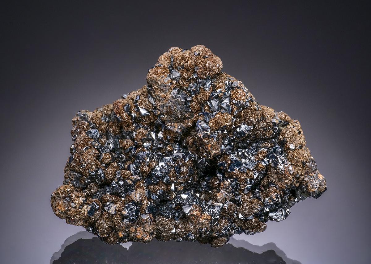 CC48208 specimen image