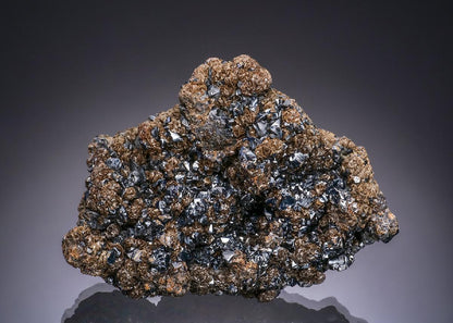 CC48208 specimen image