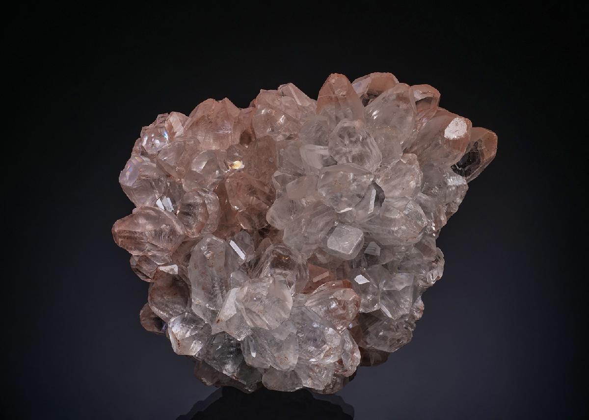 CC48212 specimen image