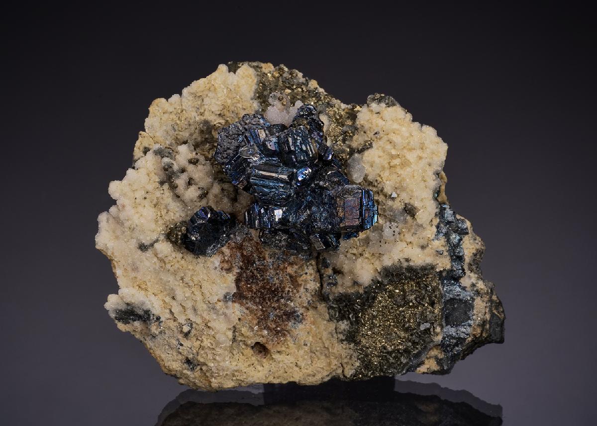 CC48304 specimen image