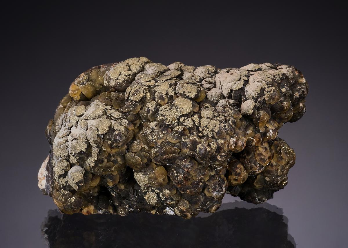 CC48308 specimen image