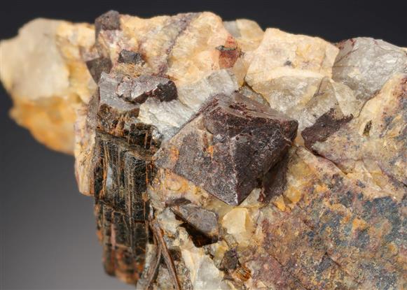 CC4831 specimen image