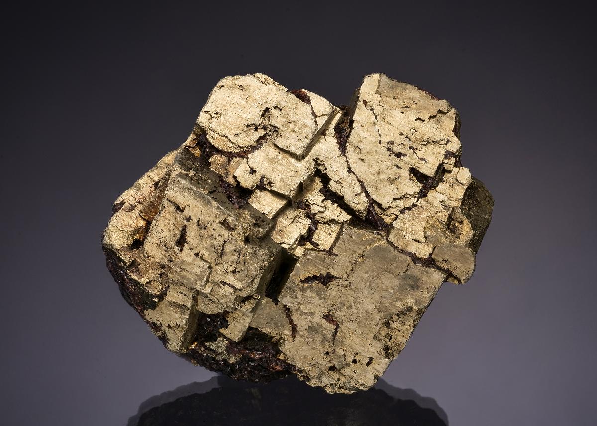 CC48322 specimen image