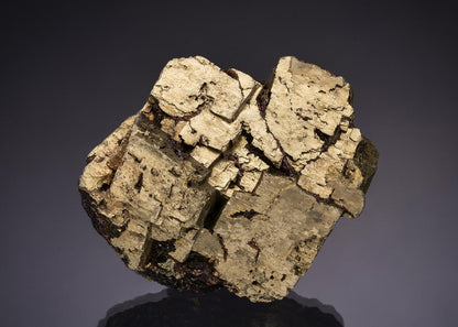 CC48322 specimen image