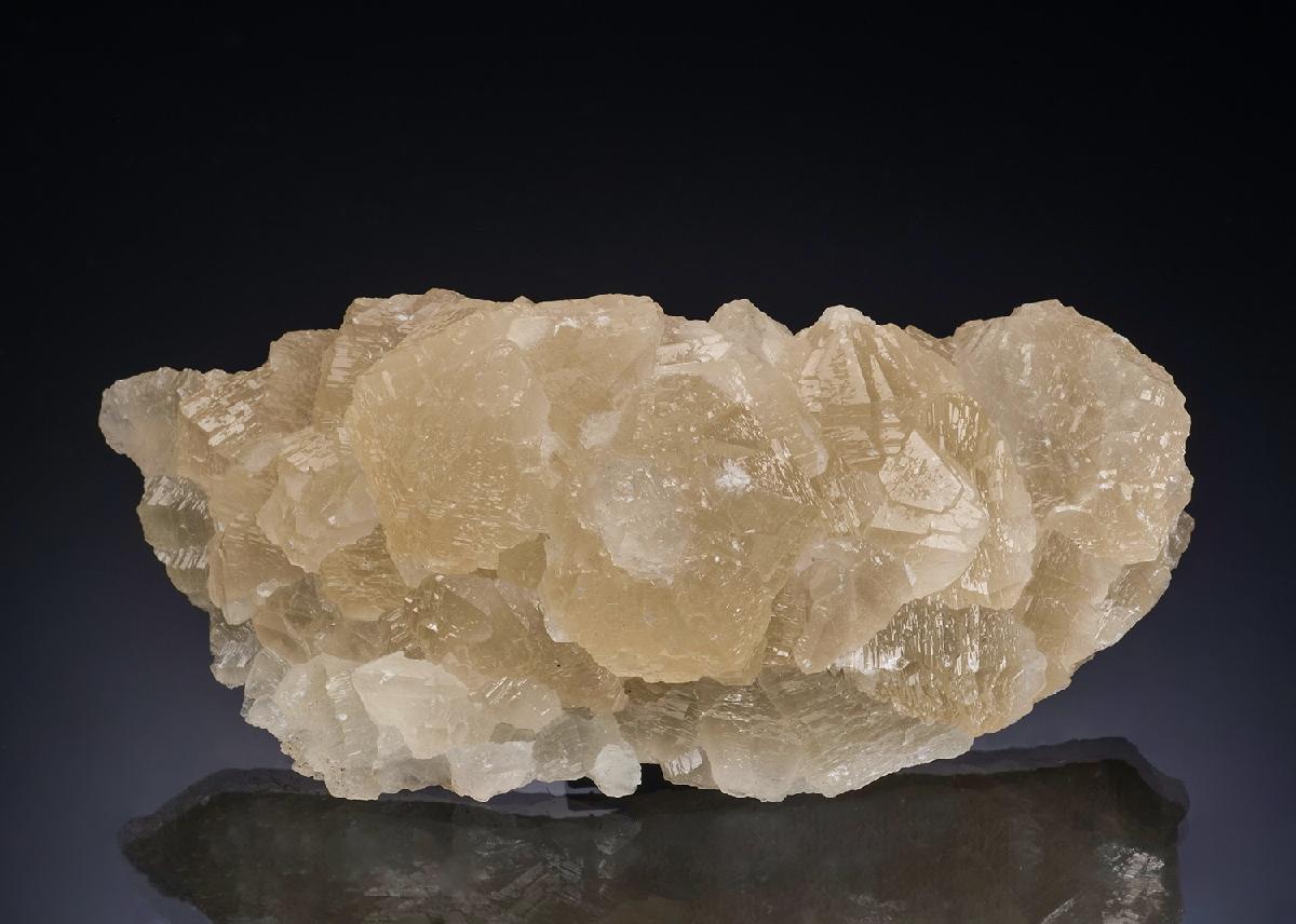 CC48332 specimen image
