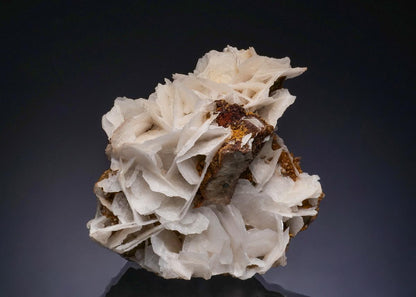 CC48344 specimen image