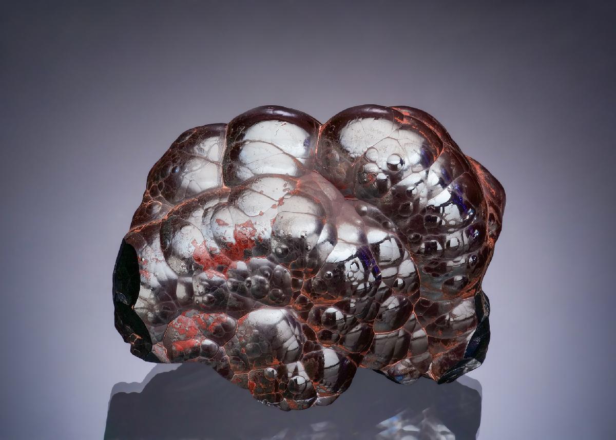 CC48352 specimen image