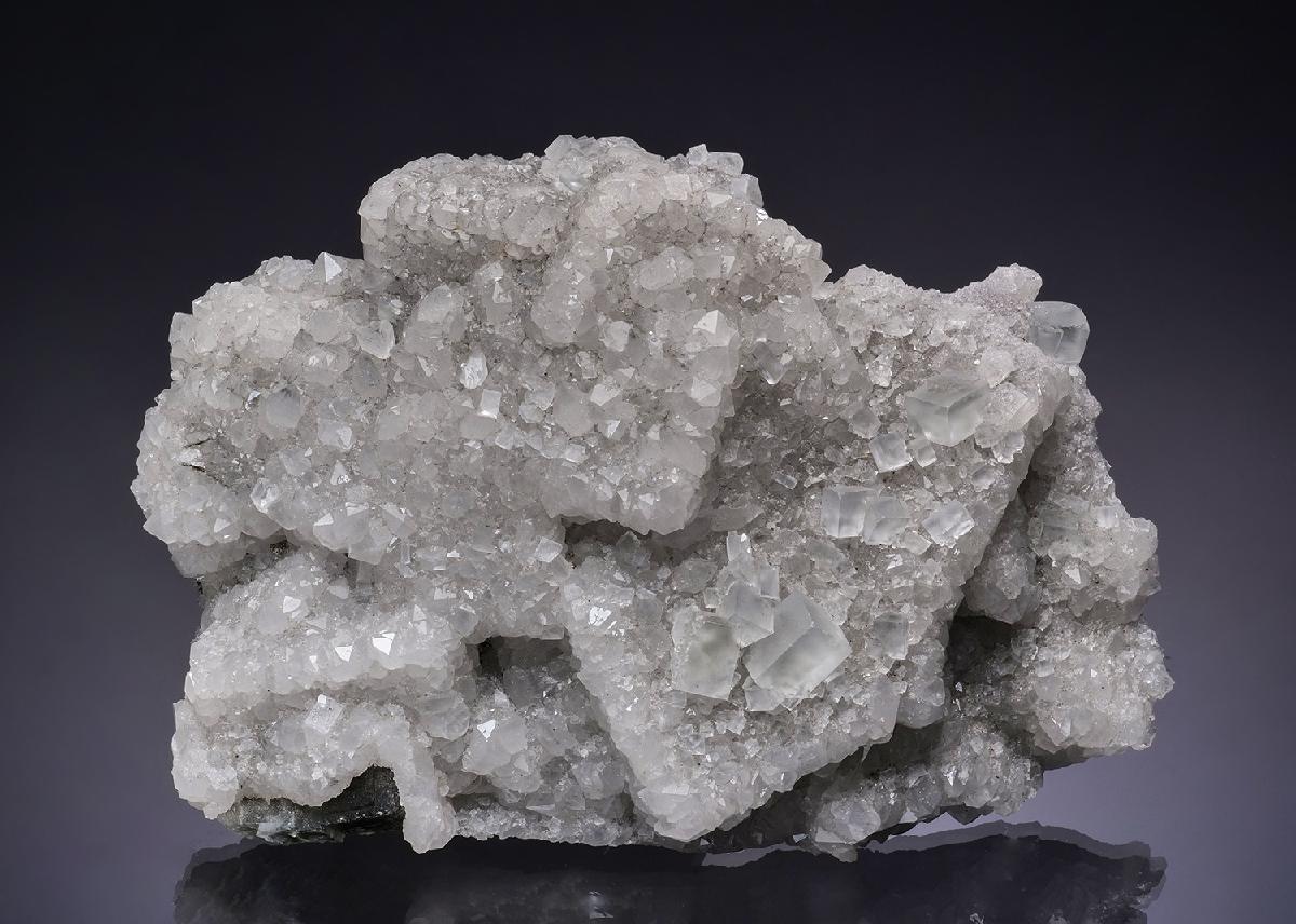 CC48390 specimen image