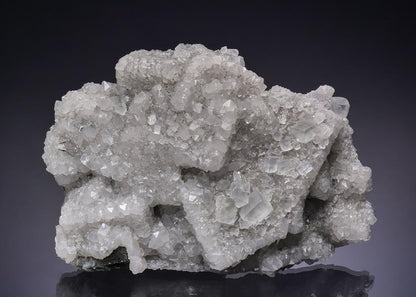 CC48390 specimen image